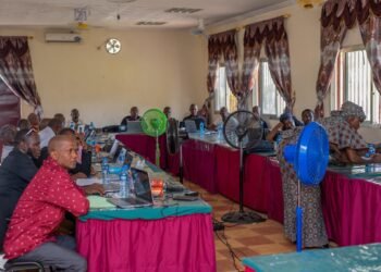 Renforcement des compétences en analyse de données à l’ISAV de Faranah