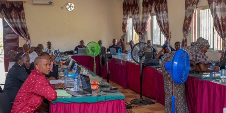 Renforcement des compétences en analyse de données à l’ISAV de Faranah