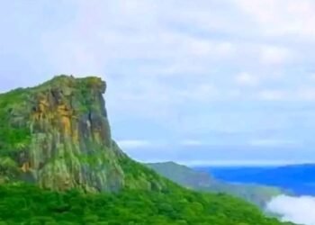 Baccalauréat 2025 en Guinée : La Préfecture de Mali Brille Avec le Lycée Franco Arabe et deux Lauréats Nationaux  