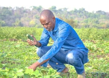 Administration Publique et Activités Agricoles :  Le Secrétaire Général de l’ISAV de Faranah engagé à tous les Niveaux