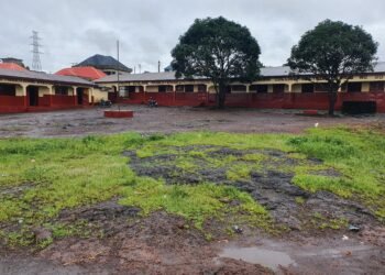 Éducation : Le Groupe Scolaire Franco-Arabe Missidé Diaridé, le reflet du succès de vos enfants