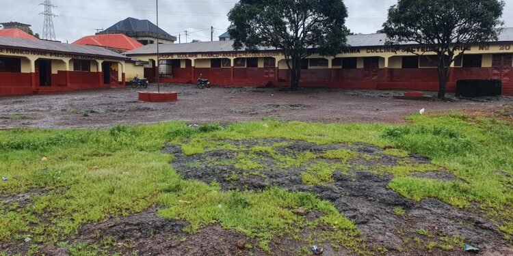 Éducation : Le Groupe Scolaire Franco-Arabe Missidé Diaridé, le reflet du succès de vos enfants