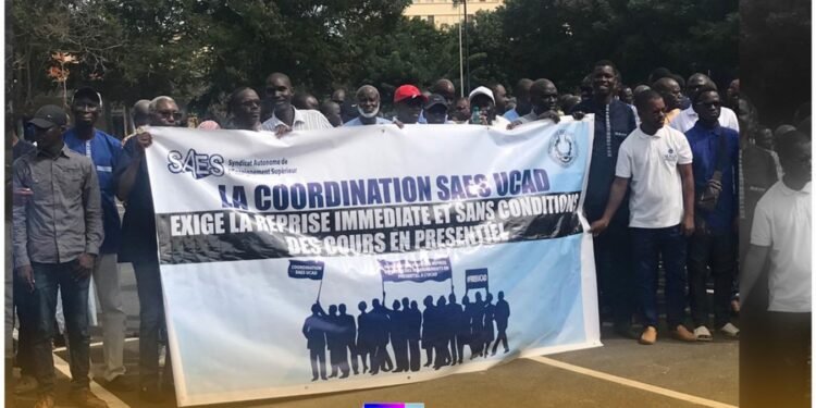 Enseignement Supérieur : Le SAES tape du poing sur la table et appelle à une « mobilisation totale »