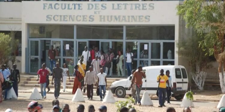 Sénégal-Guinée : L'exode massif d'universitaires sénégalais fait trembler le ministère