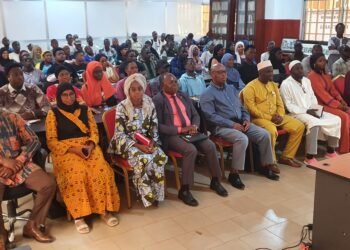 Migration irrégulière : Le CIRD brise les mythes et livre la "vérité du terrain"