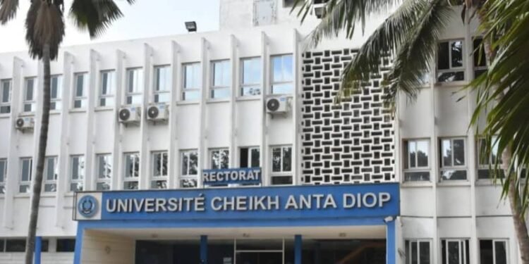 UCAD : Libération massive d’étudiants sous l’ombre d’une autopsie accablante