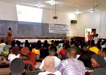 Migration en Guinée : Le CIRD lève le voile sur les réalités de terrain à N’Zérékoré