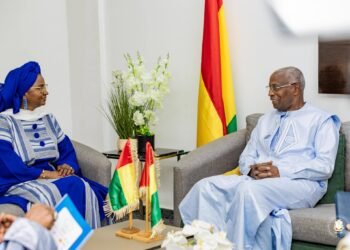 Coopération Guinée-Mali : La formation professionnelle au cœur de l'axe Conakry-Bamako