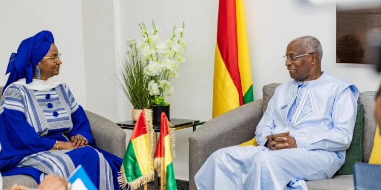 Coopération Guinée-Mali : La formation professionnelle au cœur de l'axe Conakry-Bamako