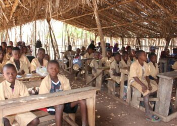 Kindia : À Dar-es-Salam, le cri de détresse de 160 élèves oubliés sous des hangars de paille