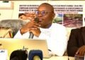 Biodiversité en sursis : le plan d’urgence pour sauver les derniers chimpanzés de Bossou