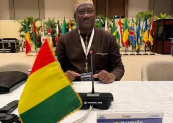 Gouvernance universitaire : l’ANAQ-Guinée apporte son expertise à la 43e session du Comité des Experts du CAMES à Libreville