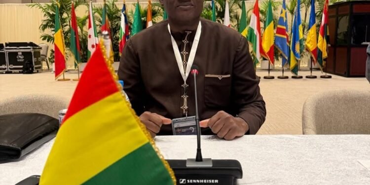 Gouvernance universitaire : l’ANAQ-Guinée apporte son expertise à la 43e session du Comité des Experts du CAMES à Libreville