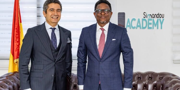 Coopération bilatérale : La Guinée et l’Égypte projettent la création d’un Centre national d’enseignement de la langue arabe