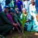 Guinée : L’ISAV de Faranah clôture son année universitaire par un reboisement massif