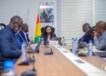 Enseignement Supérieur : La Ministre Djami Diallo reçoit le SNAESURS pour instaurer un dialogue social permanent